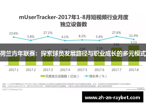 荷兰青年联赛：探索球员发展路径与职业成长的多元模式